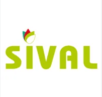 sival